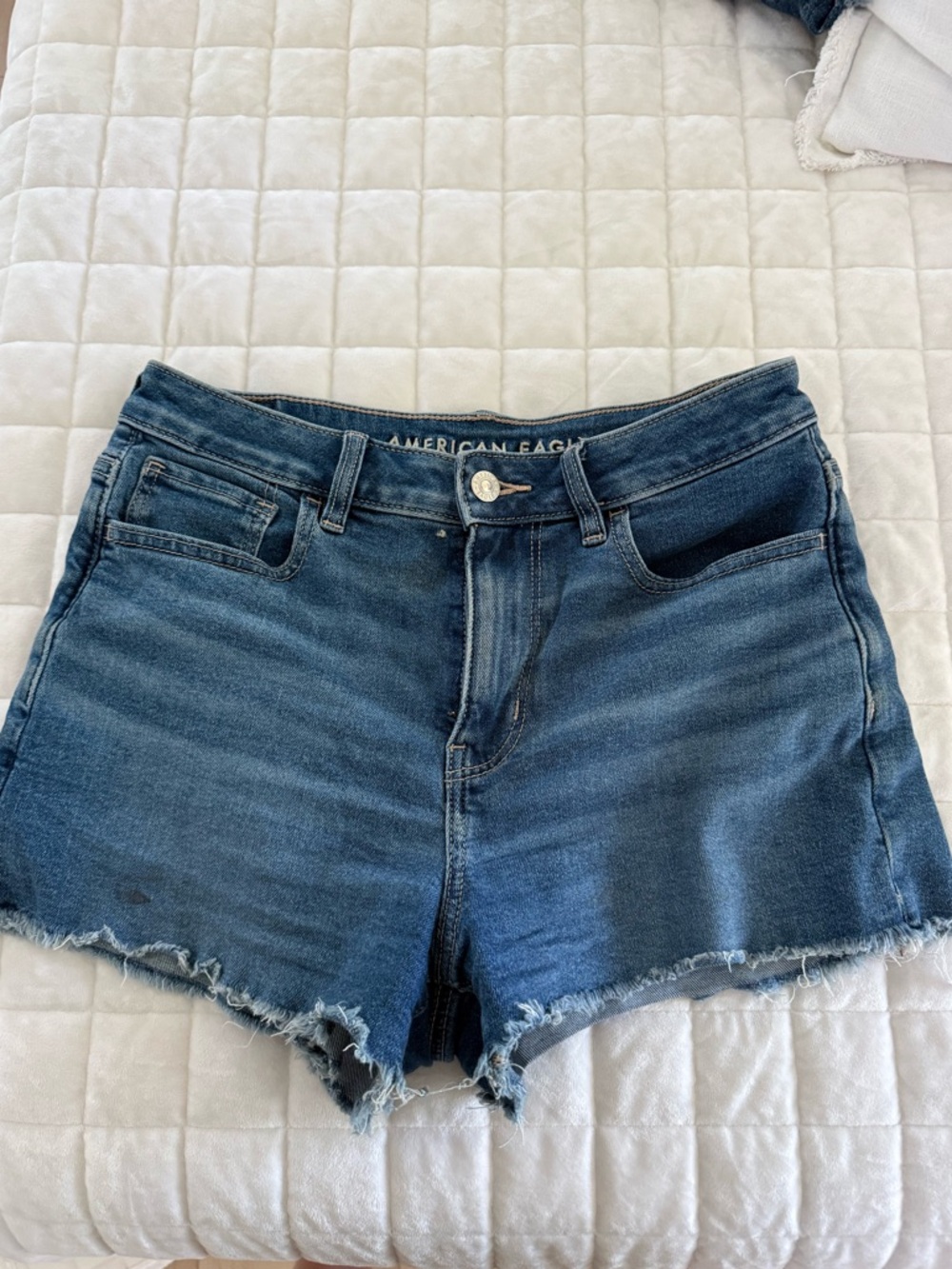 American Eagle Outfitters Blue Denim Frayed Hem Shorts Size 4